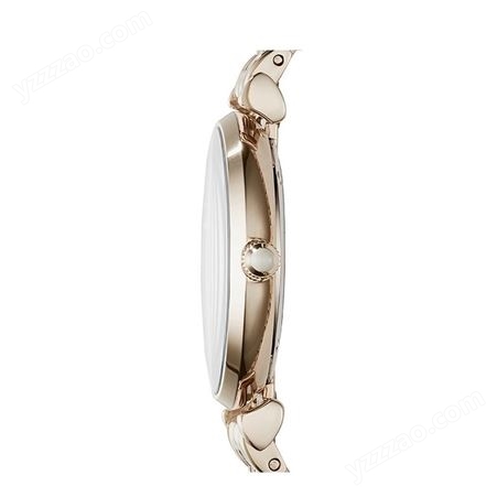 阿玛尼(Emporio Armani) 时尚腕表简约钢带石英女手表AR11059