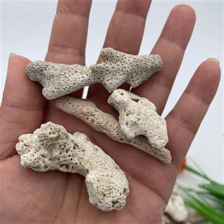 天然珊瑚石 用于水族海洋馆造景 净水用珊瑚骨砂
