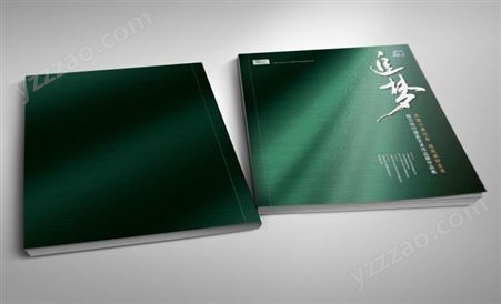 金山印刷 彩页印刷 画册设计 logo设计 宣传册设计 信封手提袋