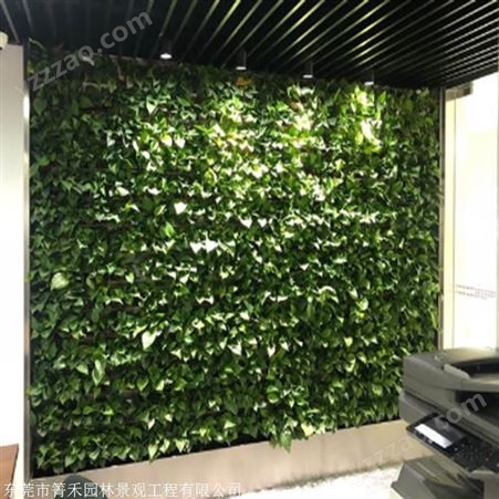 LOGO设计植物墙 植物墙定制 箐禾园林
