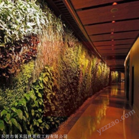仿真植物墙生产商 室外绿墙 价格 箐禾园林