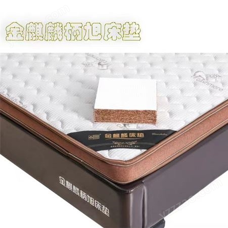 防静电抗尘螨 进口天然乳胶 环保椰梦维 高密高弹海绵 上下床床垫
