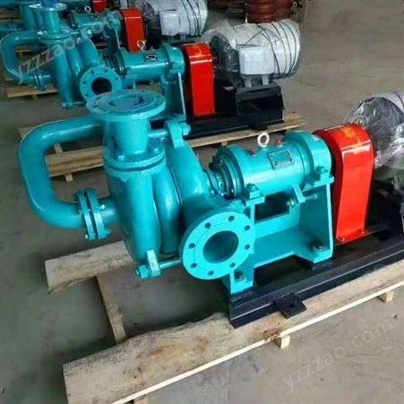 驰源生产 压滤机入料泵 进料泵 专用给料泵 结构合理性能稳定