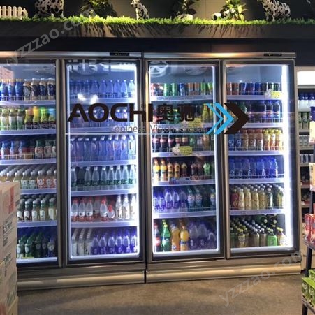 奥驰冷链葫芦岛市超市展示柜冷藏保鲜冷冻可定制上海展示柜饮料展示冰柜