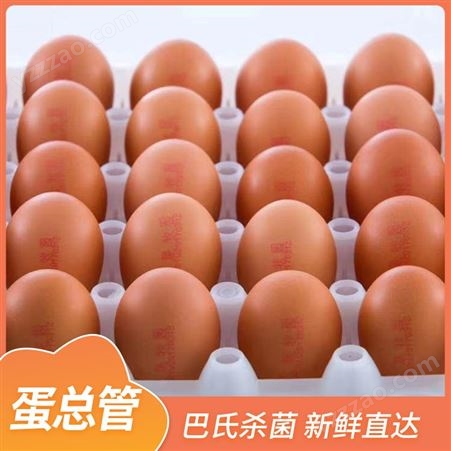 本地保洁鸡蛋 给酒店西餐厅超市 蛋总管 安全新鲜保障