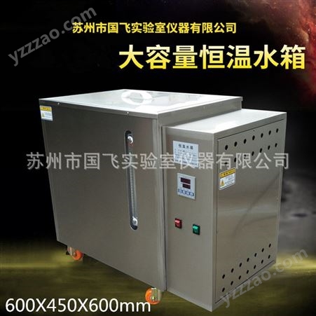 苏州国飞恒温水箱 大容量恒温循环水箱 液位显示 电加热水槽厂家