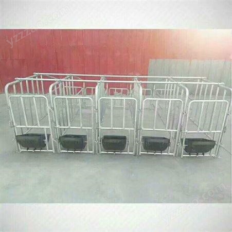 腾飞机械  母猪限位栏  定位栏畜牧厂家销售