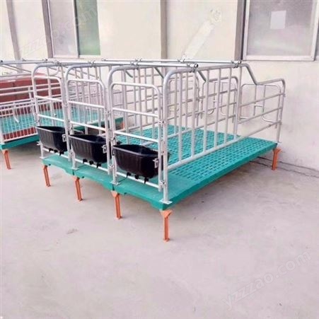 腾飞机械 保育床定位栏 定位栏养猪设备 猪用限位栏