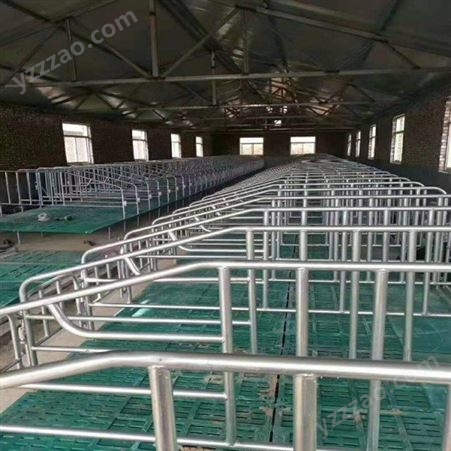 腾飞机械 保育床定位栏 定位栏养猪设备 猪用限位栏