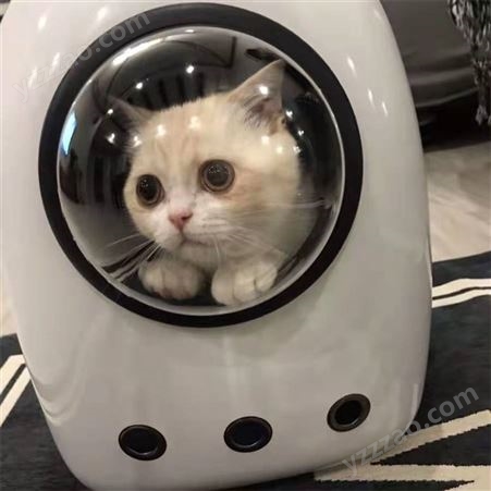 DIY自制猫窝猫爬架猫别墅材料配件高透明环保太空舱