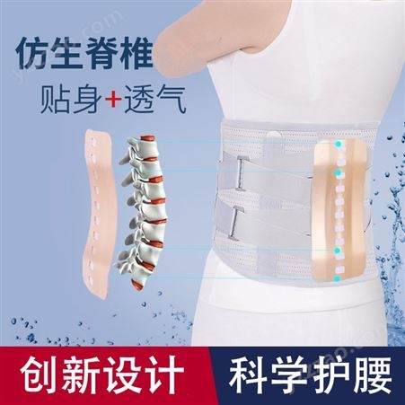伤康护腰带  仿生脊椎支撑板   护腰带保护腰部