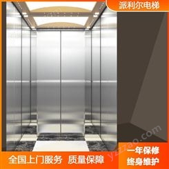 自建房家用电梯 派利尔室内升降电梯 小型别墅观光电梯